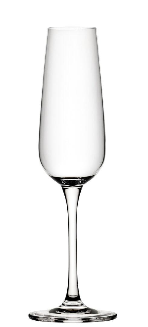 Mississippi Flute 7.5oz (21cl) - R252107-00000-B01006 (Pack of 6)